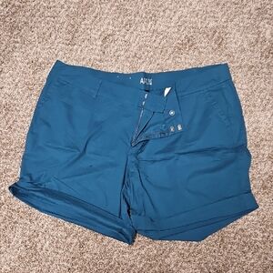 Apt 9 Women's Teal Shorts